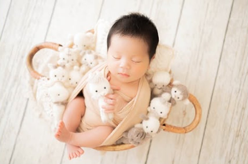 バスケットの中でぬいぐるみと眠る赤ちゃんのニューボーンフォト